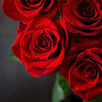 Veronica was born august 2, 1951 in alamance county, nc. Recent Obituaries Sossamon Funeral Home