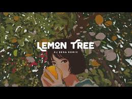 Pin By Thảo Nguyen On Video In 2020 Dj Lemon Tree Remix