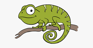 In this step, we outline the contours of the chameleon's face. How To Draw Chameleon Chameleon Drawing Easy Hd Png Download Transparent Png Image Pngitem