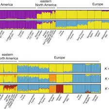 Pdf The Rapid Spread Of Leptoglossus Occidentalis In Europe A Bridgehead Invasion