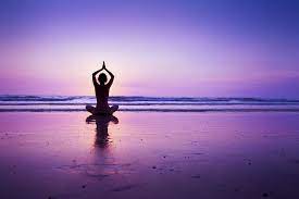 But before i began looking into the new and advanced yoga websites, i decided to go back to basics. 14 Websites To Learn Yoga Lessons Online Free And Paid Cmuse
