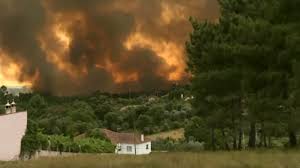 Quedarse en casa viendo cómo el fuego se acercaba era. Incendio Em Portugal Mobiliza Uma Forte Corrente Solidaria Em Prol Das Vitimas Global Voices Em Portugues