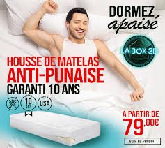 Kit Et Housse Anti Punaise De Lit Sont Ils Vraiment Efficaces