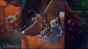 Warrior+cats | warrior cats forever leafpool. Squirrelflight And Leafpool Warrior Cats Speedpaint Youtube