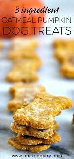 Oatmeal Pumpkin Dog Treat Recipe Recipe Dog Treats Homemade Easy Healthy Dog Treats Homemade Easy Dog Treat Recipes