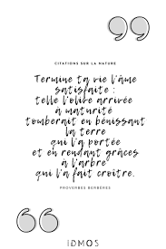 Citation Huile D Olive En 2020 Huile D Olive Savon Solide Olives