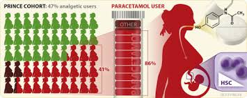 paracetamol medication during pregnancy insights on intake