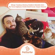 Lidia Daniela Radulescu Adli Kullanicinin 4 And Soul Panosundaki Pin Kedi Komik Hayvanlar Evcil Hayvanlar