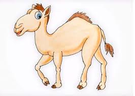 From it, extend the lines for your camel's neck and lower body. Cartoon Camel Drawing Step By Step For Beginners