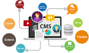Intelmo Inc Cms Website