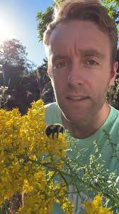 Rusty Patched Bumblebee Gyne!!🐝, Second year in a row I’ve been lucky to  spot one in my yard. Here’s a video breaking down how to ID them and what  sets them apart from other bumblebees. They’re a ...