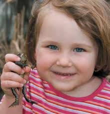 HABITAT MANAGEMENT GUIDELINES FOR AMPHIBIANS AND REPTILES OF THE MIDWESTERN  UNITED STATES