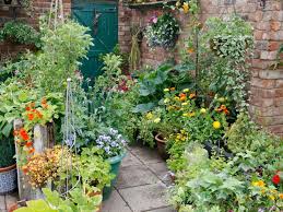 Rooms Viewer Garden Containers Growing Vegetables Container Gardening