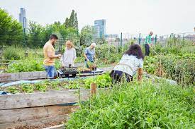 How to create a community garden: Are You Wondering How To Start A Community Garden