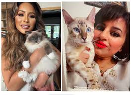 Would any of you clever people be able to get all these cats in 1 picture?  My Sister has worshiped her cats.sges 70 at end of month and I'd love to get