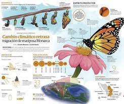 Pin En Animales