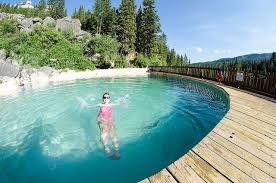 Gartenpool Salzwasser Pool Im Eigenen Garten Bauen Pool Pool Im Garten Heisse Quellen