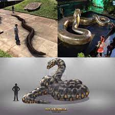 Titanoboa Meaning Titanic Boa Is An Extinct Genus Of Snake That Lived Approximately 60 58 Million Years Ancient Animals Extinct Animals Prehistoric Animals