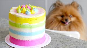 Dog cake recipe without carrots. How To Make Birthday Cake For Dogs Recipes Food Easy Healthy Recipes Beverages Only On Dq Food Recipes