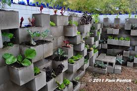 Patterned blocks can also be a good replacement for terracotta vases. Edible Wall Cinderblock Wall Vegetable Garden Wows At Big Red Sun Digging