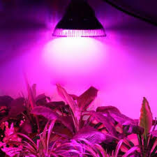 Allows up to 10 units installed from a. 24w Led Grow Plantlight Growlight Full Spectrum E27 Smd