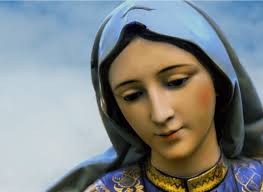 Émissions de Pascal Dayer