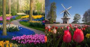 The Most Beautiful Flower Garden In The World Without People Mimicnews