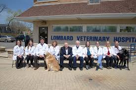 Vin is the world's first and largest online veterinary community, where new articles are added weekly by the experts at vin to make sure that our readers have the. Lombard Veterinary Hospital Linkedin