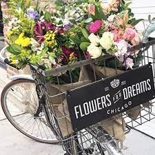 Flowers for you hours and flowers for you locations along with phone number and map with driving directions. Flowers For Dreams Chicago Public Library Foundation September Partners Chicago Public Library Foundation