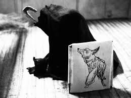 In may 1974, the visionary german artist joseph beuys flew into new york city's john f kennedy international airport and was immediately taken by ambulance t. I Like America And America Likes Me Peter Schreiber Free Download Borrow And Streaming Internet Archive