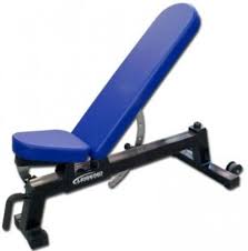 Bij legend concentreren wij ons op fitness en gezondheid, en bovenal dat u hier plezier in heeft. Legend 3 Way Adjustable Weight Bench Garage Gym Builder