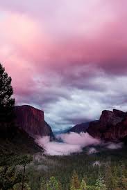 Pin On Misty Whispers Dream Reflections