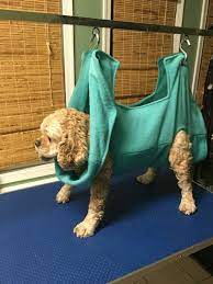 Hammock Helper Grooming Hammock Grooming And Nail Trimming Made Easy Size Large Dog Grooming Diy Dog Stuff Clipping Dog Nails