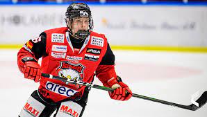 The malmö redhawks are a swedish professional ice hockey club based in malmö, founded in 1972. Malmo Redhawks Catapult