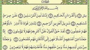 Pembacaan surat yasin pada malam nishfu sya'ban setelah maghrib merupakan hasil ijtihad sebagian ulama, konon ia adalah syeikh al buni, dan hal itu bukanlah suatu hal yang buruk. Hukum Baca Quran Surat Yasin Malam Jumat Risalah Islam
