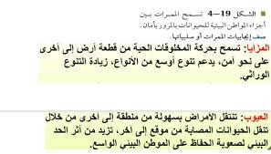المنطقة البحرية ( سطحية ومتوسطة) والمنطقة اللجة (المنطقة المظلمة). ØµÙ Ø§ÙŠØ¬Ø§Ø¨ÙŠØ§Øª Ø§Ù„Ù…Ù…Ø±Ø§Øª Ø§Ùˆ Ø³Ù„Ø¨ÙŠØ§ØªÙ‡Ø§ Ø­Ù„ÙˆÙ„ Ù…Ù†Ø§Ù‡Ø¬ÙŠ