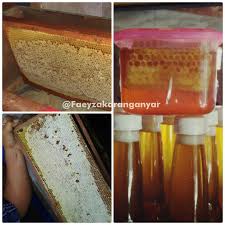 Kapsul urat madu black berkhasiat untuk pria dewasa, dengan cara minum yang mudah aman bagi tubuh untuk mendongkrak stamina dan libido. Manfaat Madu Asli Untuk Promil