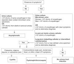 Full Text Urinary Tract Infections In Patients With Type 2