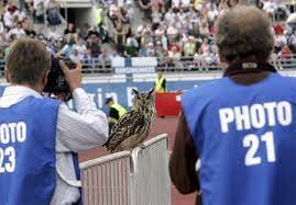 Transport costs for europe between 21,50 euro and 28,30 euro, the rest of the world 53 euro (64 dollar). Escape To Suomi On Twitter On This Day In 2007 Bubi The Eagle Owl Flew Into The Olympiastadion During The Win Against Belgium And The Huuhkajat Were Born Https T Co Bisi4jsaif