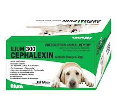 Most strains cause acute upper respiratory signs characterized by sneezing and oral/nasal ulceration. Ilium Cephalexin 300mg 252 Tablets Troy Animal Healthcare Australia