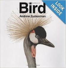 Bird Andrew Zuckerman 9780811870986 Amazon Com Books Andrew Zuckerman Birds Bird Book