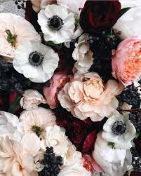 In western culture some flowers has symbolic meanings, like red roses for love and daisies for. Love These Flowers Pretty Flowers Beautiful Flowers