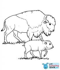 Free Printable Bison Coloring Pages For Kids Bison