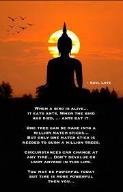 Time And Karma Buddha Teachings Buddha Quotes One Tree