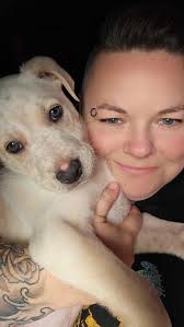 This is Zip . He will be 9 months old