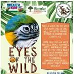 Unearth A Story with Eyes of the Wild: RMS 1 - 3