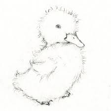 It includes basic drawing and coloring examples along with simple explanations. Adorable Art Learn How To Draw And Paint A Duckling Animal Drawings Drawings Bird Drawings