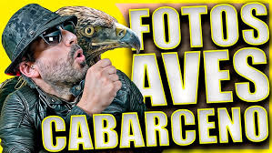 WORKSHOP CON MARINA CANO EN CABARCENO