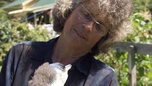 Queen's Birthday honours awarded to Canterbury and Otago's dedicated  residents