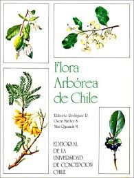 Libro Flora Arbórea de Chile